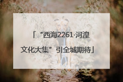 “西海2261·河湟文化大集”引全城期待