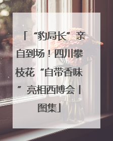 “豹局长”亲自到场！四川攀枝花“自带香味”亮相西博会丨图集