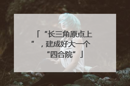 “长三角原点上”，建成好大一个“四合院”