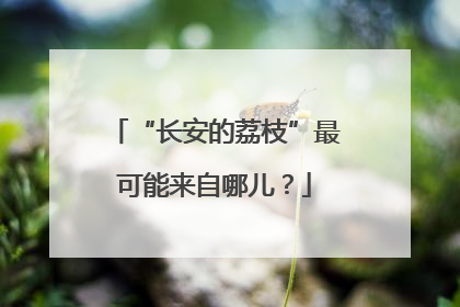 “长安的荔枝”最可能来自哪儿？