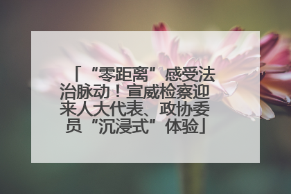 “零距离”感受法治脉动！宣威检察迎来人大代表、政协委员“沉浸式”体验