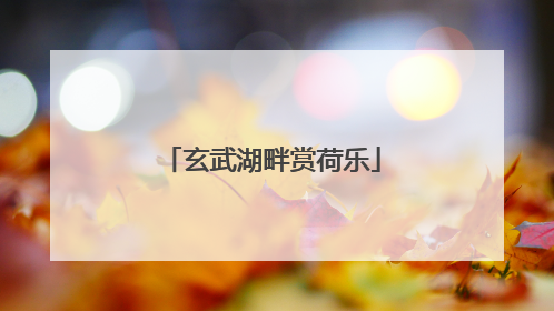 玄武湖畔赏荷乐