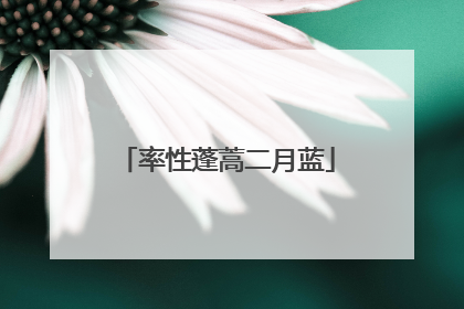 率性蓬蒿二月蓝