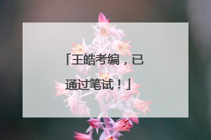 王皓考编，已通过笔试！