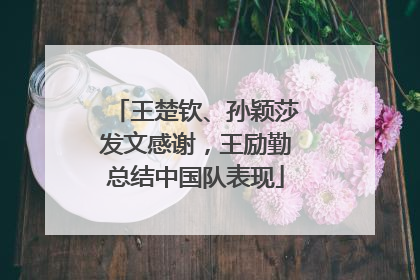 王楚钦、孙颖莎发文感谢，王励勤总结中国队表现