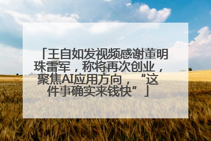 王自如发视频感谢董明珠雷军，称将再次创业，聚焦AI应用方向，“这件事确实来钱快”