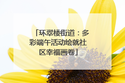 环翠楼街道：多彩端午活动绘就社区幸福画卷