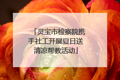 灵宝市检察院携手社工开展夏日送清凉帮教活动
