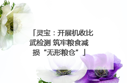 灵宝：开展机收比武检测 筑牢粮食减损“无形粮仓”