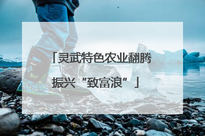 灵武特色农业翻腾振兴“致富浪”