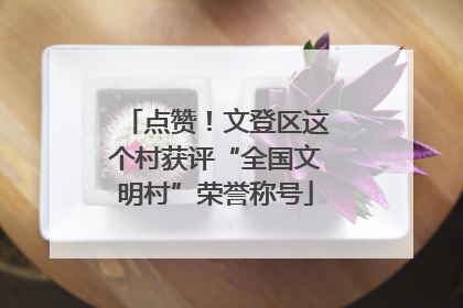 点赞！文登区这个村获评“全国文明村”荣誉称号
