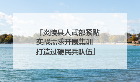 炎陵县人武部紧贴实战需求开展集训 打造过硬民兵队伍