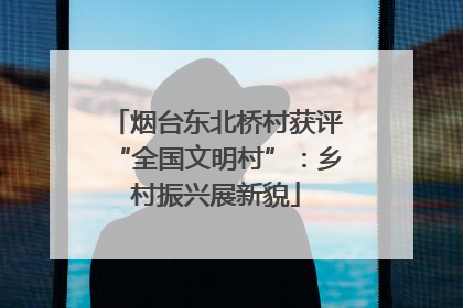 烟台东北桥村获评“全国文明村”：乡村振兴展新貌
