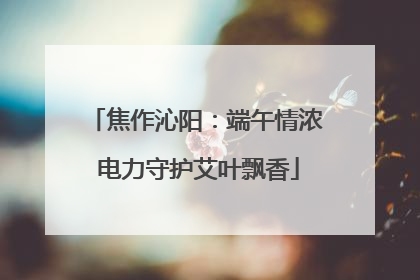 焦作沁阳：端午情浓 电力守护艾叶飘香