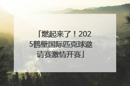 燃起来了！2025鹤壁国际匹克球邀请赛激情开赛