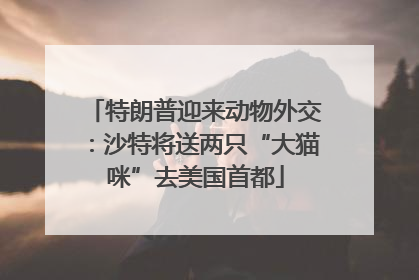 特朗普迎来动物外交：沙特将送两只“大猫咪”去美国首都