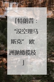 特朗普：“没空理马斯克” 欧洲抛橄榄枝