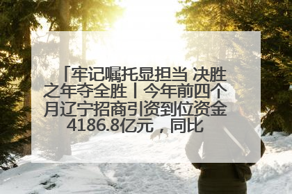 牢记嘱托显担当 决胜之年夺全胜丨今年前四个月辽宁招商引资到位资金4186.8亿元，同比增长17.4%