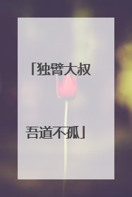 独臂大叔 吾道不孤
