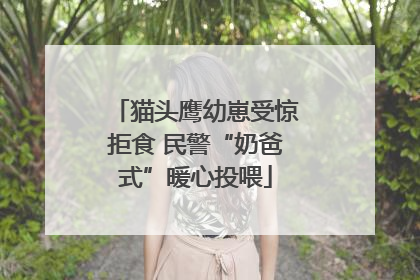 猫头鹰幼崽受惊拒食 民警“奶爸式”暖心投喂