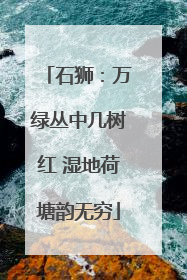 石狮：万绿丛中几树红 湿地荷塘韵无穷