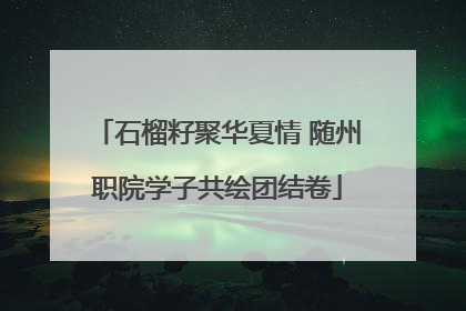 石榴籽聚华夏情 随州职院学子共绘团结卷