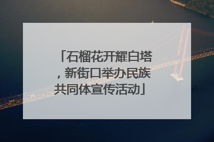 石榴花开耀白塔，新街口举办民族共同体宣传活动