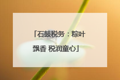 石鼓税务：粽叶飘香 税润童心