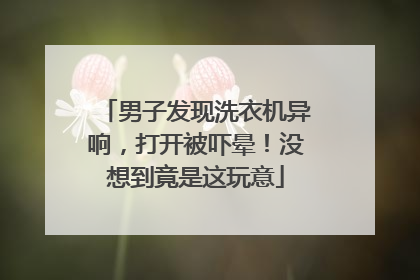 男子发现洗衣机异响，打开被吓晕！没想到竟是这玩意