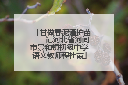 甘做春泥谨护苗——记河北省河间市景和镇初级中学语文教师程桂霞
