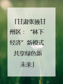甘肃张掖甘州区：“林下经济”新模式 共享绿色新未来