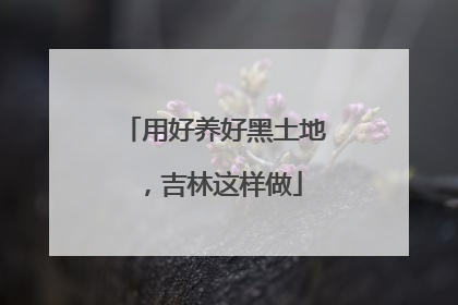 用好养好黑土地，吉林这样做