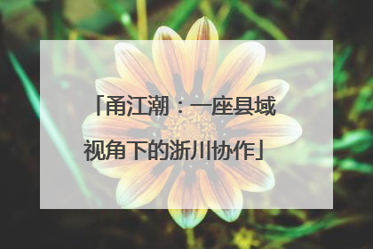 甬江潮：一座县域视角下的浙川协作