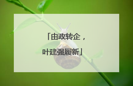 由政转企，叶建强履新