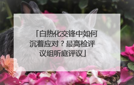 白热化交锋中如何沉着应对？最高检评议组听庭评议