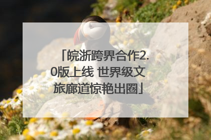 皖浙跨界合作2.0版上线 世界级文旅廊道惊艳出圈