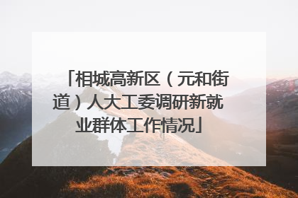 相城高新区（元和街道）人大工委调研新就业群体工作情况
