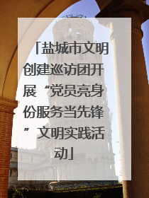 盐城市文明创建巡访团开展“党员亮身份服务当先锋”文明实践活动