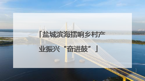 盐城滨海擂响乡村产业振兴“奋进鼓”