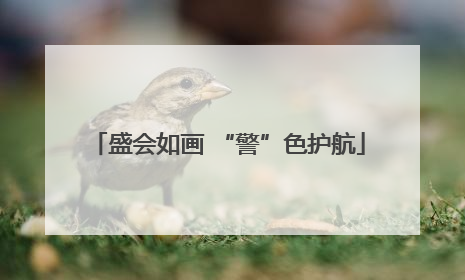 盛会如画 “警”色护航