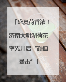 盛夏荷香浓！济南大明湖荷花率先开启“颜值暴击”