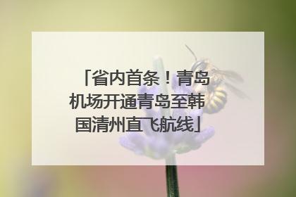省内首条！青岛机场开通青岛至韩国清州直飞航线