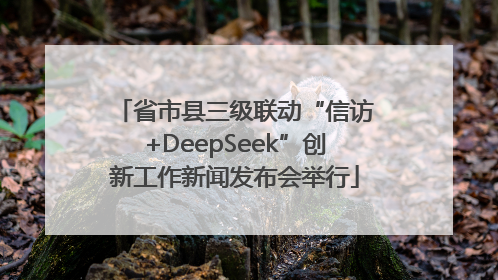 省市县三级联动“信访+DeepSeek”创新工作新闻发布会举行