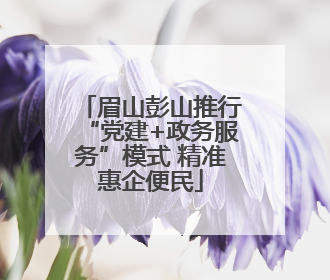 眉山彭山推行“党建+政务服务”模式 精准惠企便民