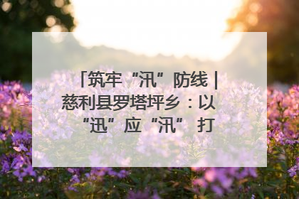 筑牢“汛”防线｜慈利县罗塔坪乡：以“迅”应“汛” 打赢暴雨防御战