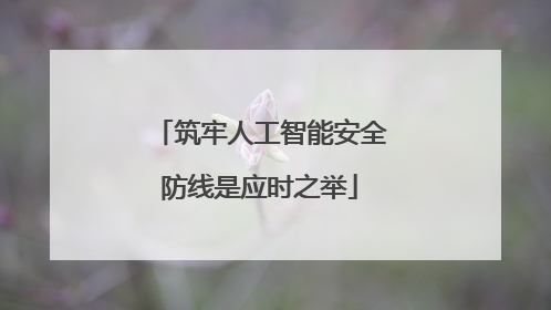 筑牢人工智能安全防线是应时之举