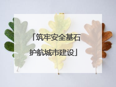 筑牢安全基石 护航城市建设
