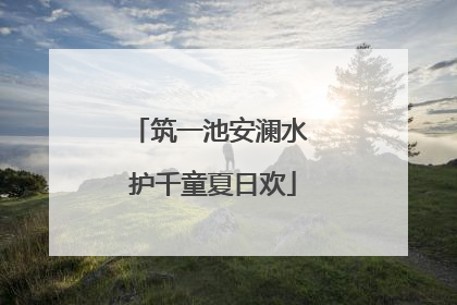 筑一池安澜水 护千童夏日欢