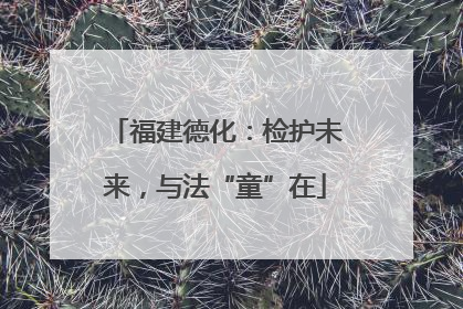 福建德化：检护未来，与法“童”在