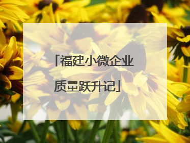 福建小微企业质量跃升记